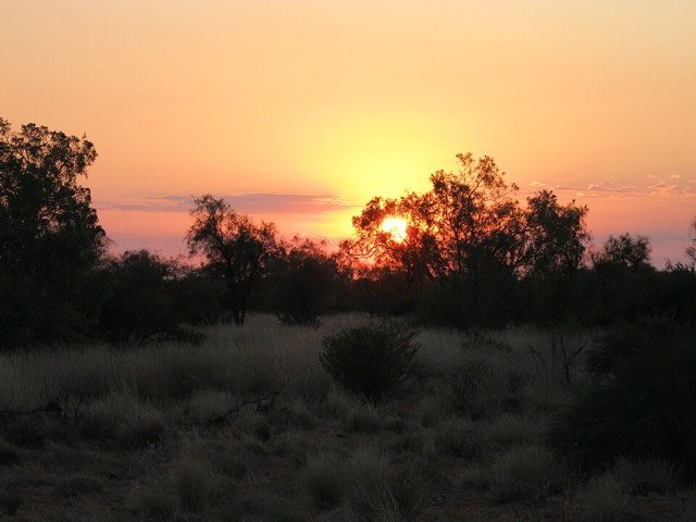 Sunrise through trees at Windorah in regional Queensland