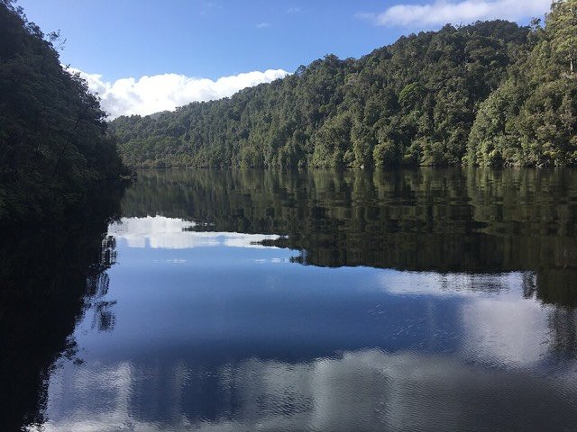 Gordon River and forest reflected in the water on Tasmania's west coast